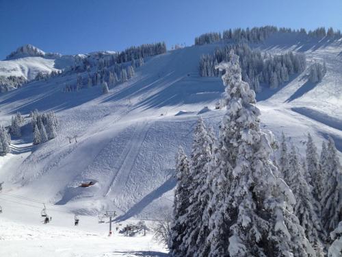 Une des pistes de Thollon-les-Memises, l'une des stations dans lesquelles nous avons skié (janvier 2024)
